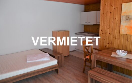 Möbliertes 1 Zimmer Appartement in Kirchhain